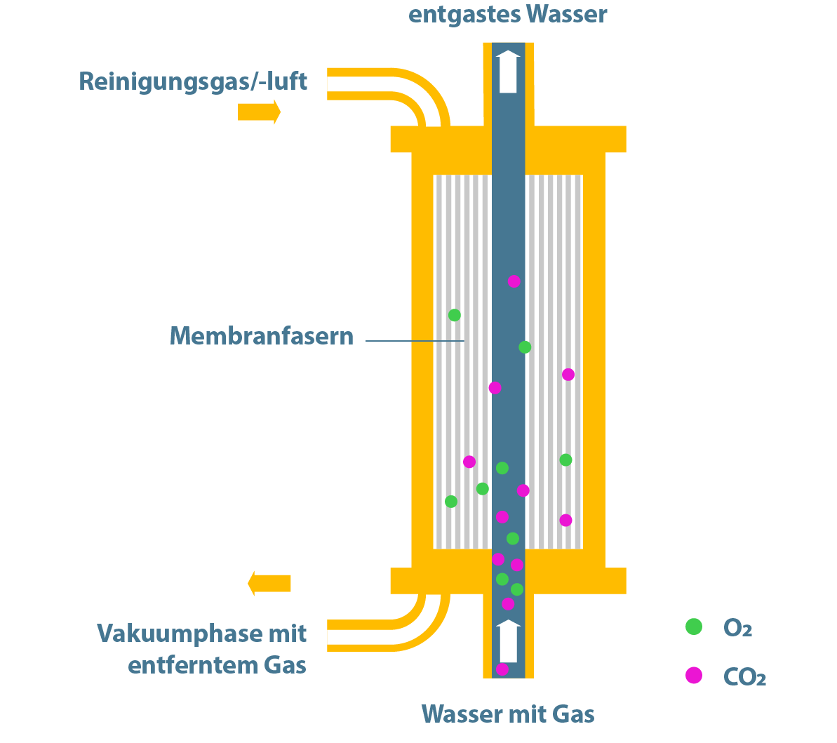 Natronlauge Dosierung vs. Membranentgasung